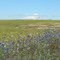 Mt Adams, south of Goldendale