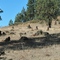 Rock sculpture in the wild. Found on the Glenwood Highway, N.W. of Goldendale