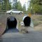 Bicycle/hiking trail underpass, Sun River, OR