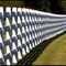 White Fence ...09.23.11