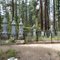 Placerville Cemetery