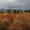 Placerville marsh fall pano