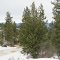 Harris Creek Summit