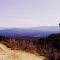 Boise National Forest - Road 374 - 5/2013