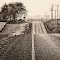 ...down the road...