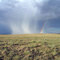 North of Wagon Mound NM