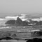 Lincoln City Surf