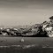 Behemoth in the bay!