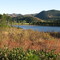 Patterson Lake