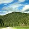 Roadside Vista