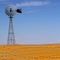 Windmill