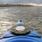 Scootney Kayaking