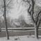 Spring Snow - 13 May 2009