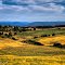 Camas Praire Hills