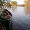 Birding Island Access.