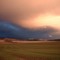  camas prairie