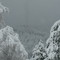 Fire in Snow