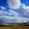Camas Prairie