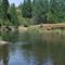 Coeur d'Alene River