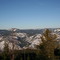 Idaho Panhandle on top of the pine trees.