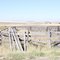 Corral south of Ferdinand