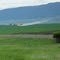 Crop dusting!