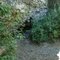 Weis Rockshelter - July 2010