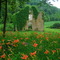 Old Mill House