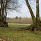 Kesselse heide