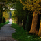 Follow the road