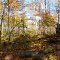 ACRES LAnd Trust, McNabb-Walter Preserve