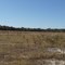Northport Pad Site