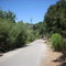 Bob Jones City to the Sea Bike Trail