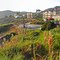 View from Spyglass Restaurant, Shell Beach, California