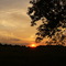 sunset looking south (Iowa) from Rest area in Blue Earth I90W