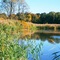 Mariners Marsh