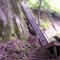 Ladders to Honey Creek Overlook