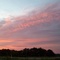 Erath Garden of Memory, Stephenville, TX (Homi&Diane)