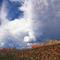 Sedona Thunderstorm - http://community.webshots.com/user/firehouse16