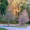 Great Dismal Swamp Washington Ditch Staging Area