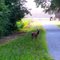 Great Dismal Swamp Exit