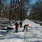 Great Dismal Swamp: Washington Ditch in Winter