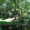 dappled sunlight and reflections