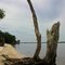 Shell Beach
