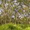 Guana River State Park