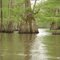 Petite Baie, Old River/Spring Bayou, Mansura, LA