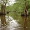 Petite Baie near Old River, Mansura, LA