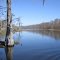 Bayou Du Lac