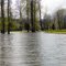Skokomish River flooding