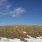 Grassland in Winter